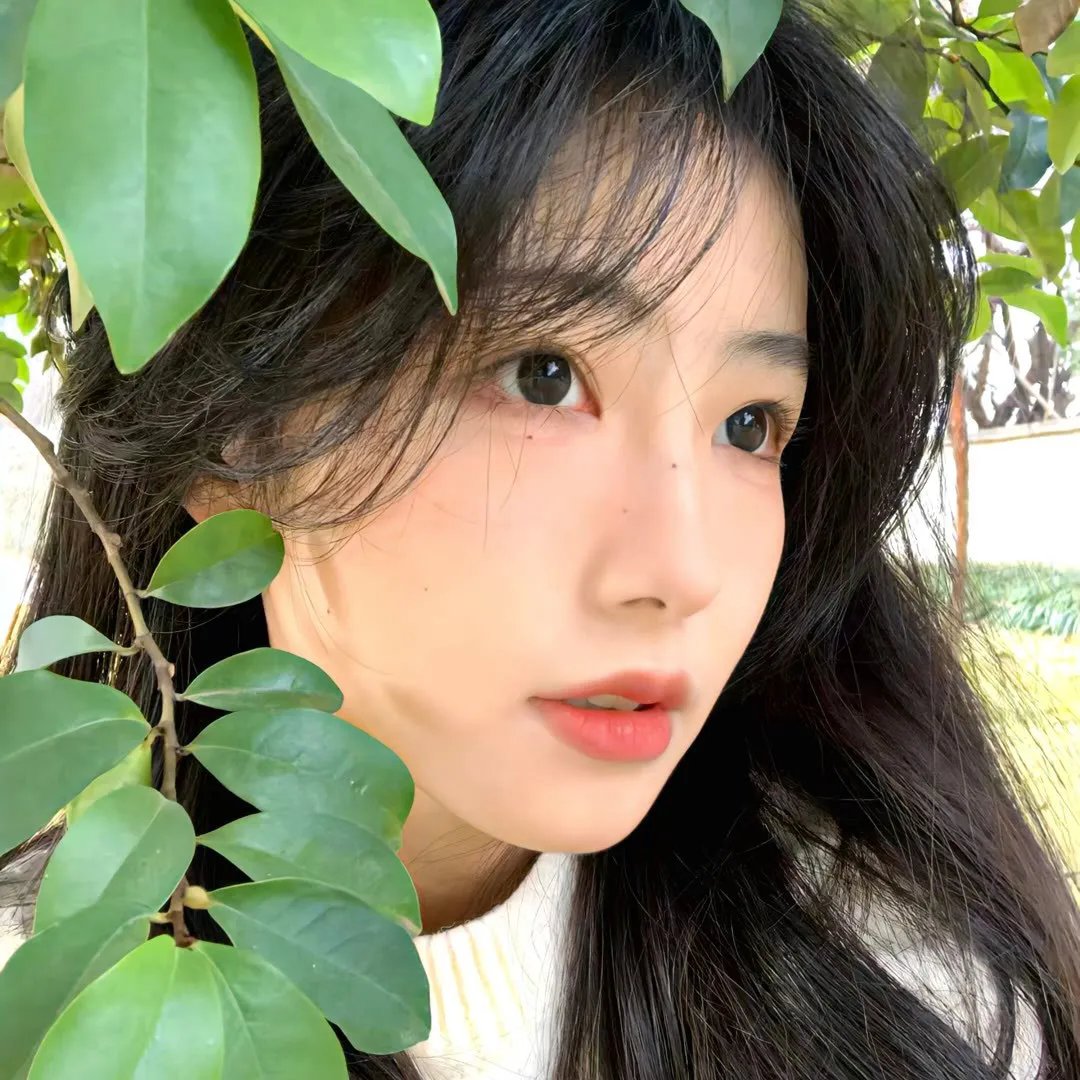 彗星来的那一夜第二季